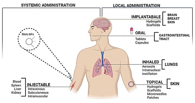 Int J Biol Sci Image