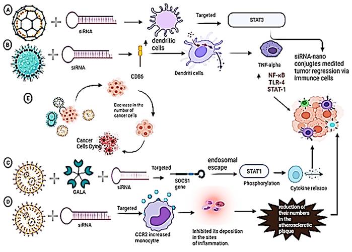 Int J Biol Sci Image