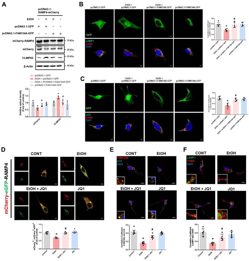 Int J Biol Sci Image
