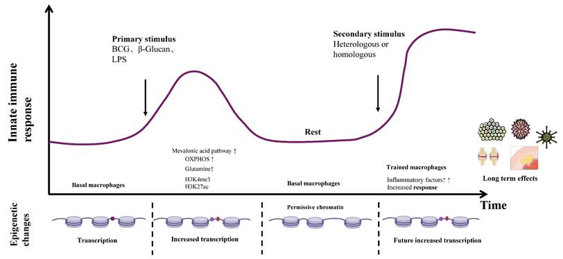 Int J Biol Sci Image