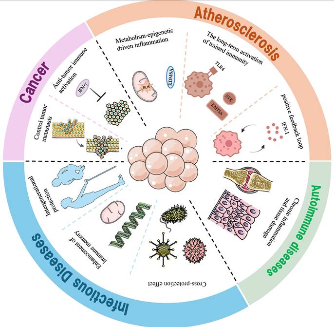 Int J Biol Sci Image