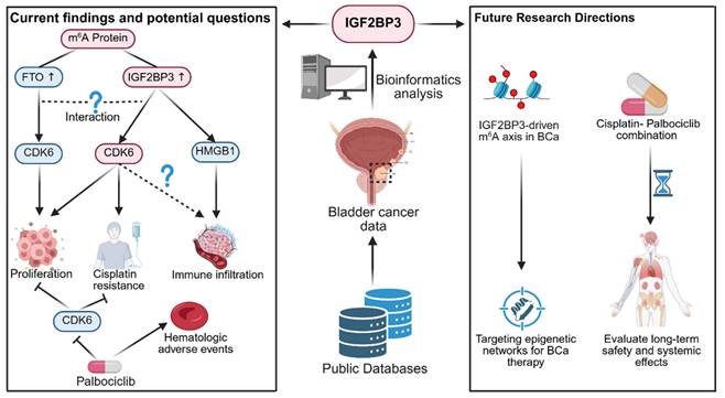 Int J Biol Sci Image