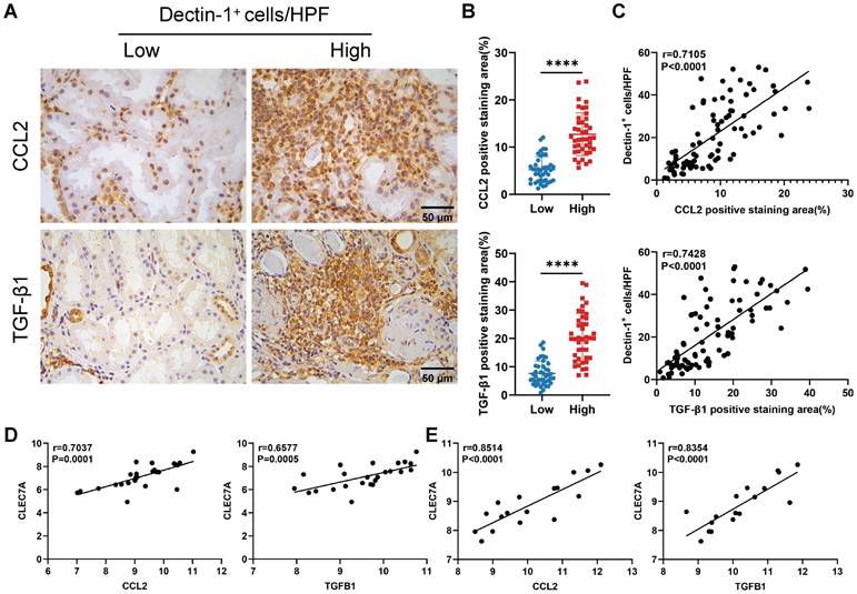 Int J Biol Sci Image