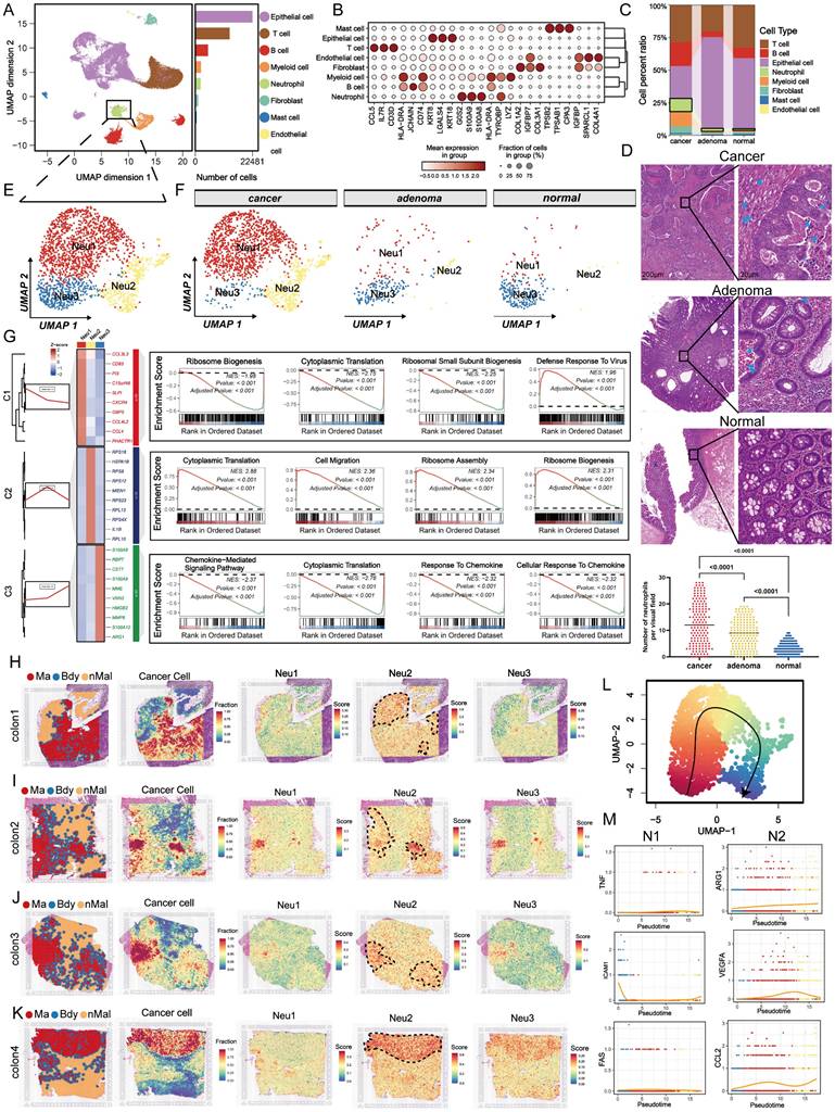 Int J Biol Sci Image