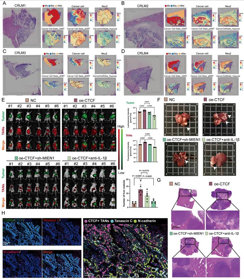 Int J Biol Sci Image