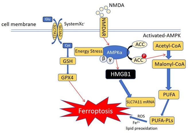 Int J Biol Sci Image