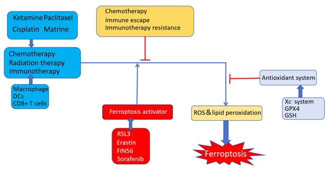 Int J Biol Sci Image