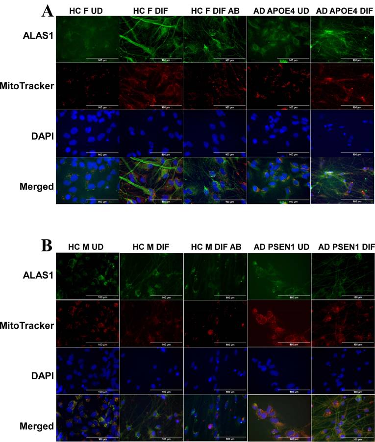 Int J Biol Sci Image