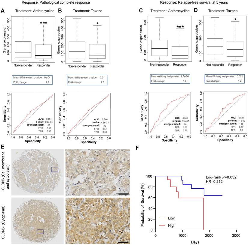 Int J Biol Sci Image