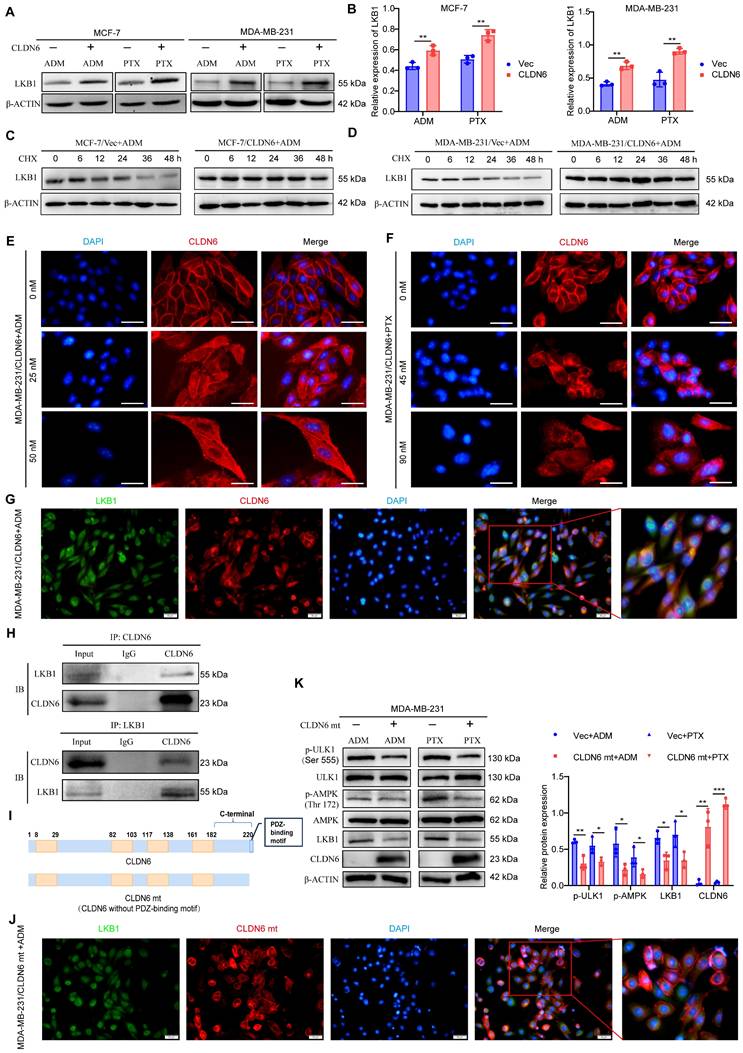 Int J Biol Sci Image