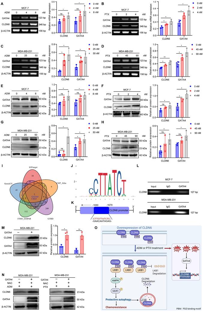 Int J Biol Sci Image