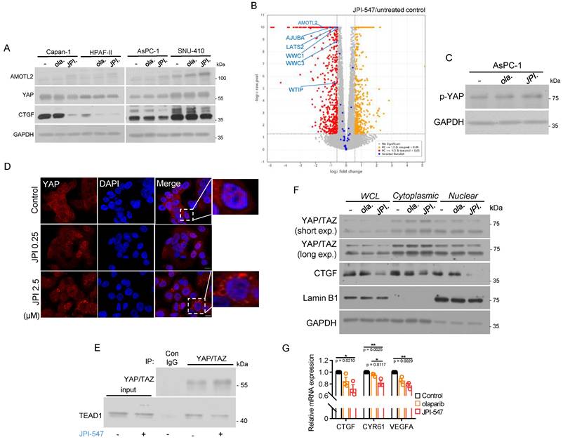 Int J Biol Sci Image