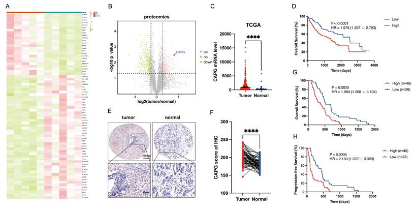 Int J Biol Sci Image