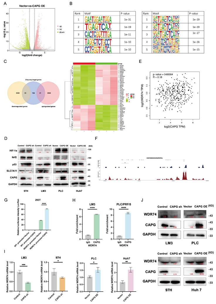 Int J Biol Sci Image