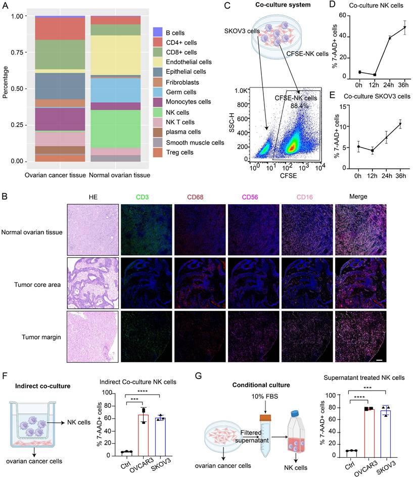 Int J Biol Sci Image