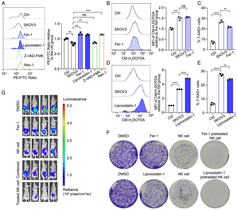 Int J Biol Sci Image