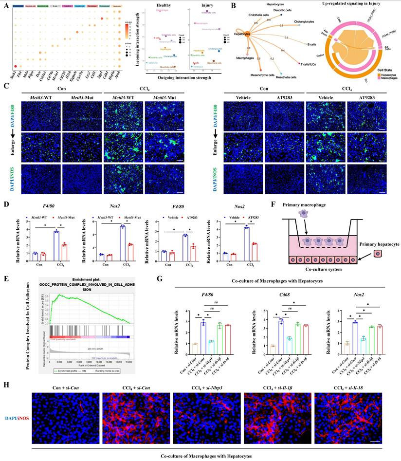 Int J Biol Sci Image