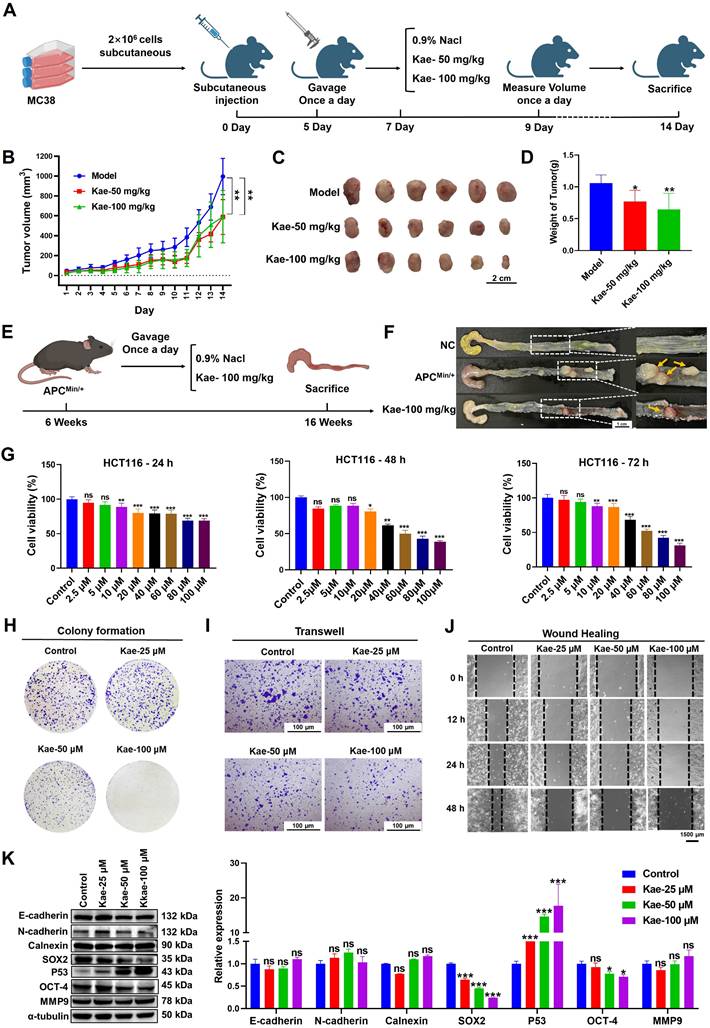 Int J Biol Sci Image