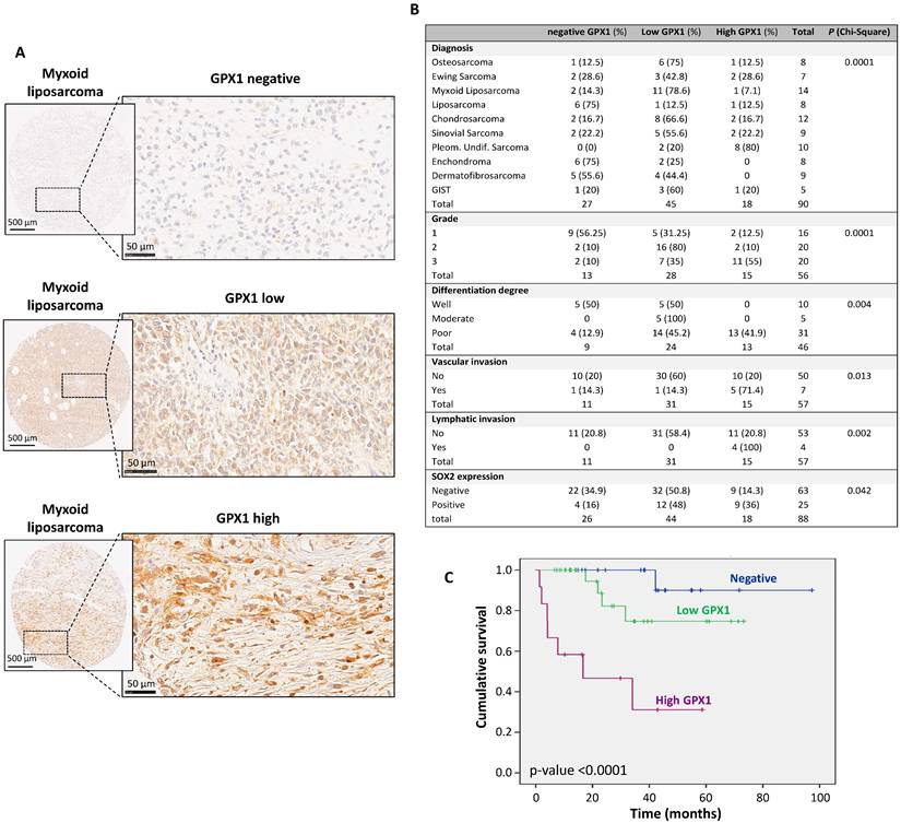 Int J Biol Sci Image