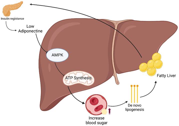 Int J Biol Sci Image