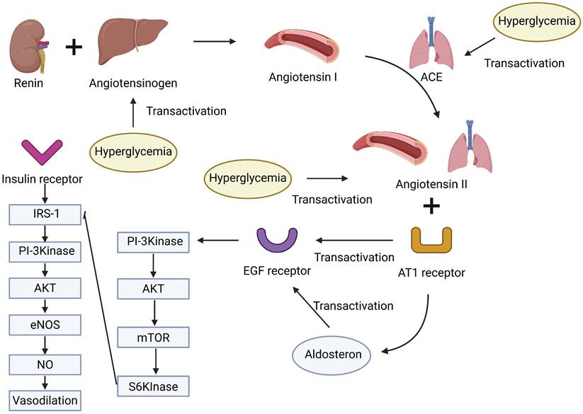 Int J Biol Sci Image