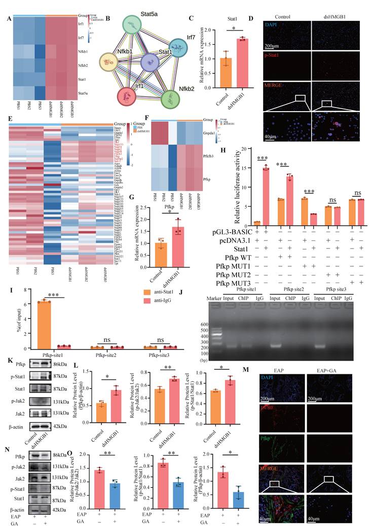 Int J Biol Sci Image