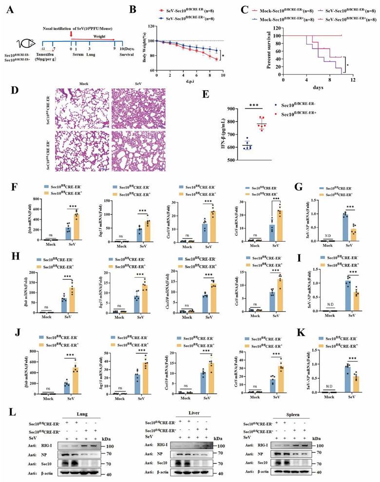 Int J Biol Sci Image