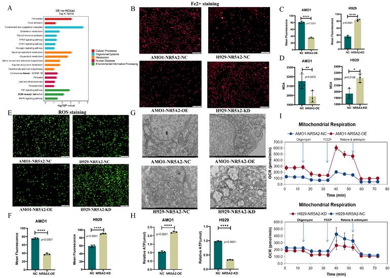 Int J Biol Sci Image