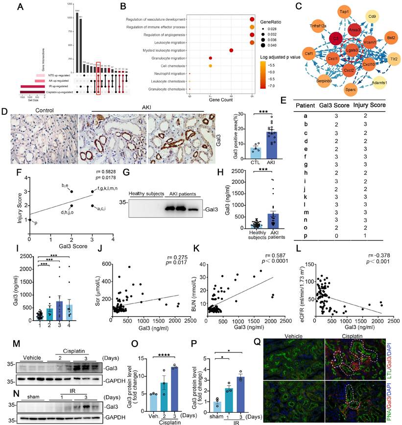 Int J Biol Sci Image