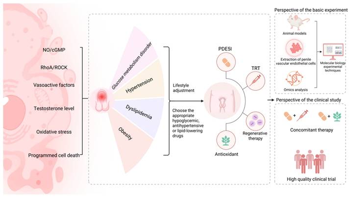 Int J Biol Sci Image