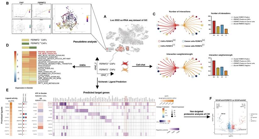 Int J Biol Sci Image