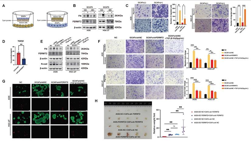 Int J Biol Sci Image