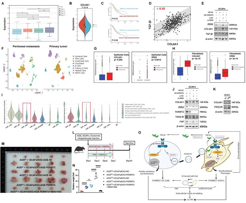 Int J Biol Sci Image