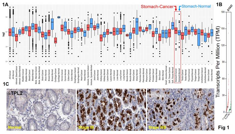 Int J Biol Sci Image