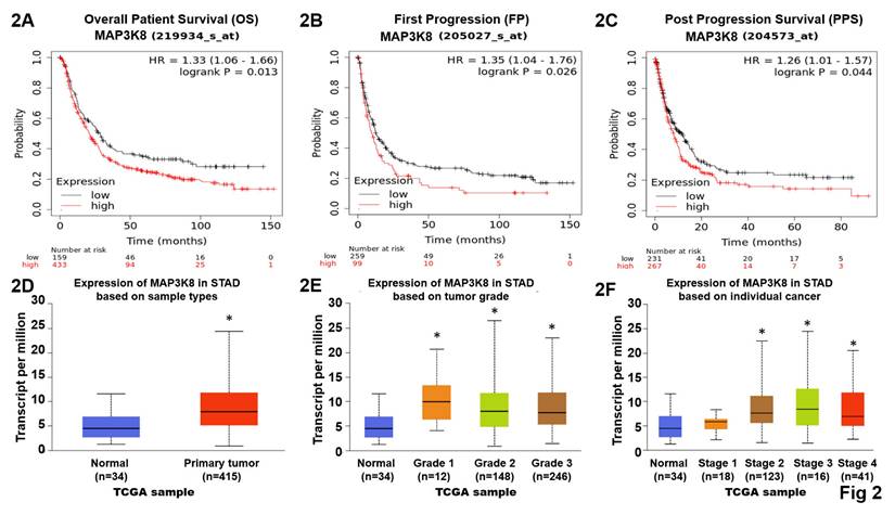 Int J Biol Sci Image