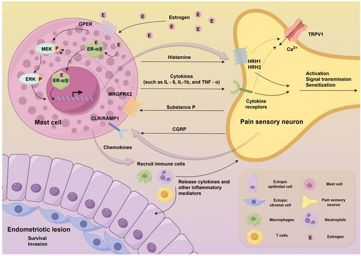 Int J Biol Sci Image