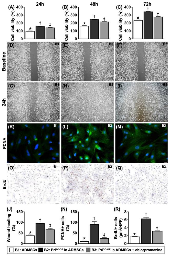 Int J Biol Sci Image