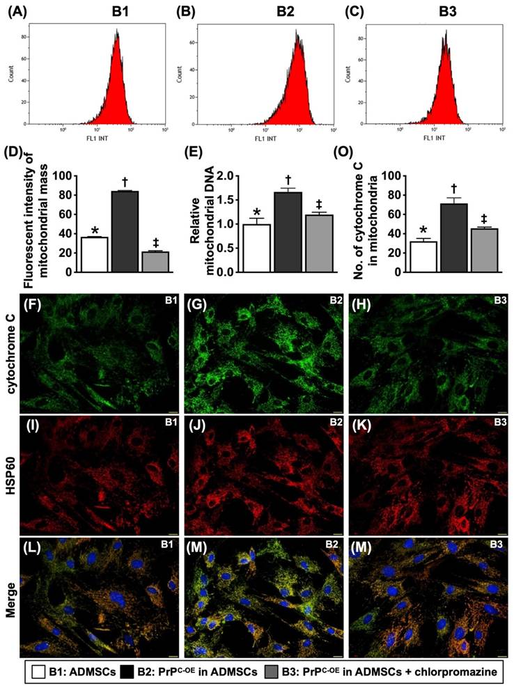 Int J Biol Sci Image