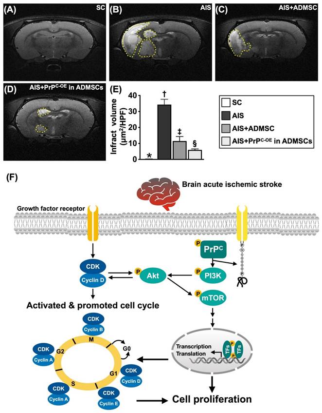 Int J Biol Sci Image