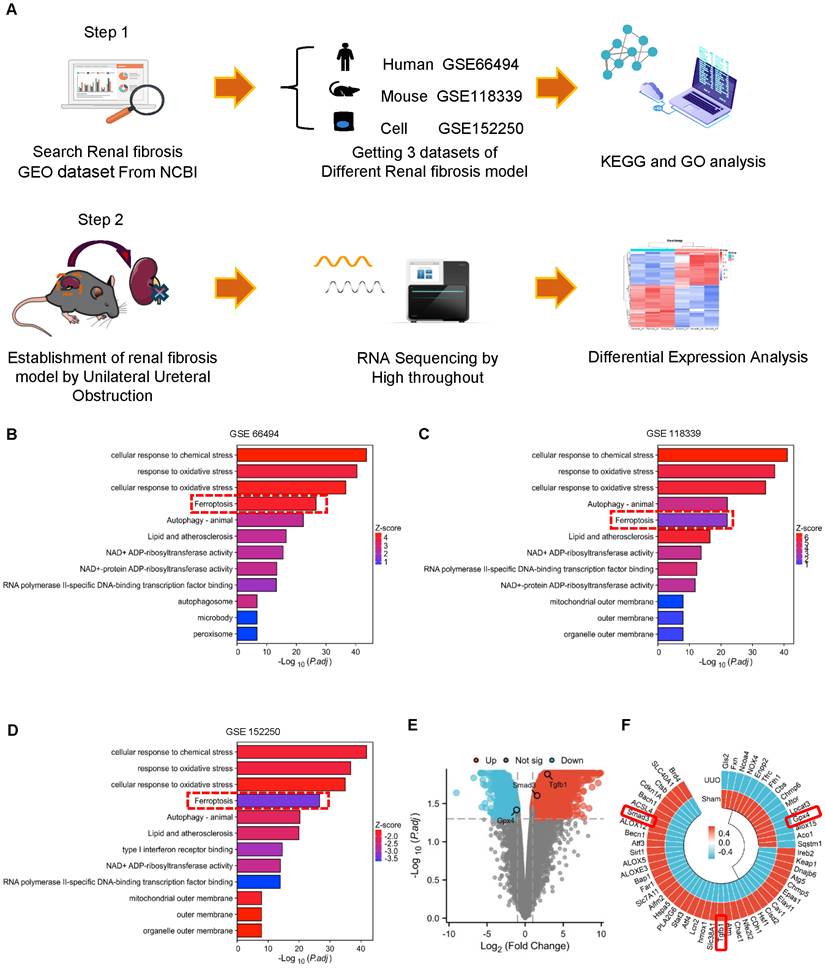 Int J Biol Sci Image