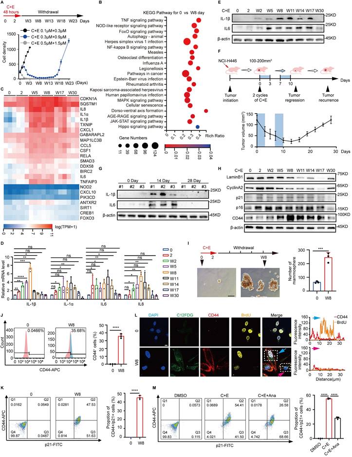 Int J Biol Sci Image
