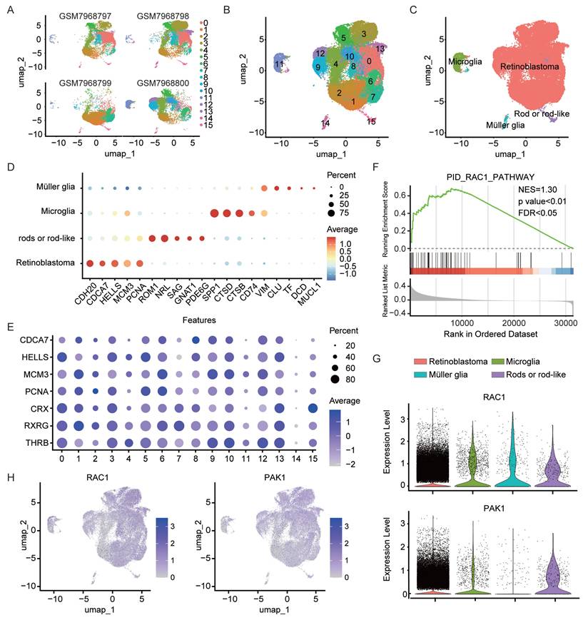 Int J Biol Sci Image