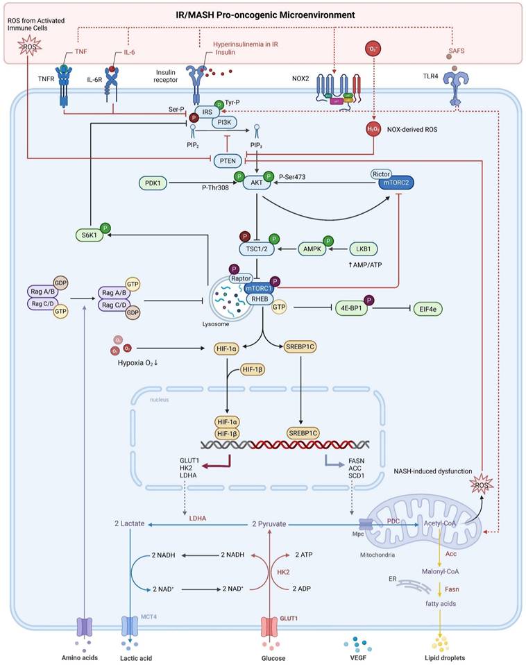 Int J Biol Sci Image