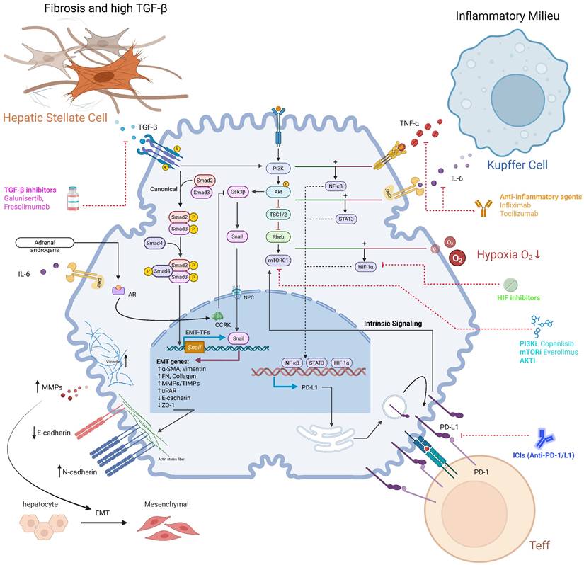 Int J Biol Sci Image