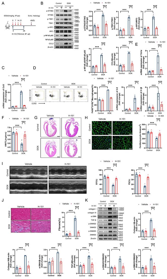 Int J Biol Sci Image