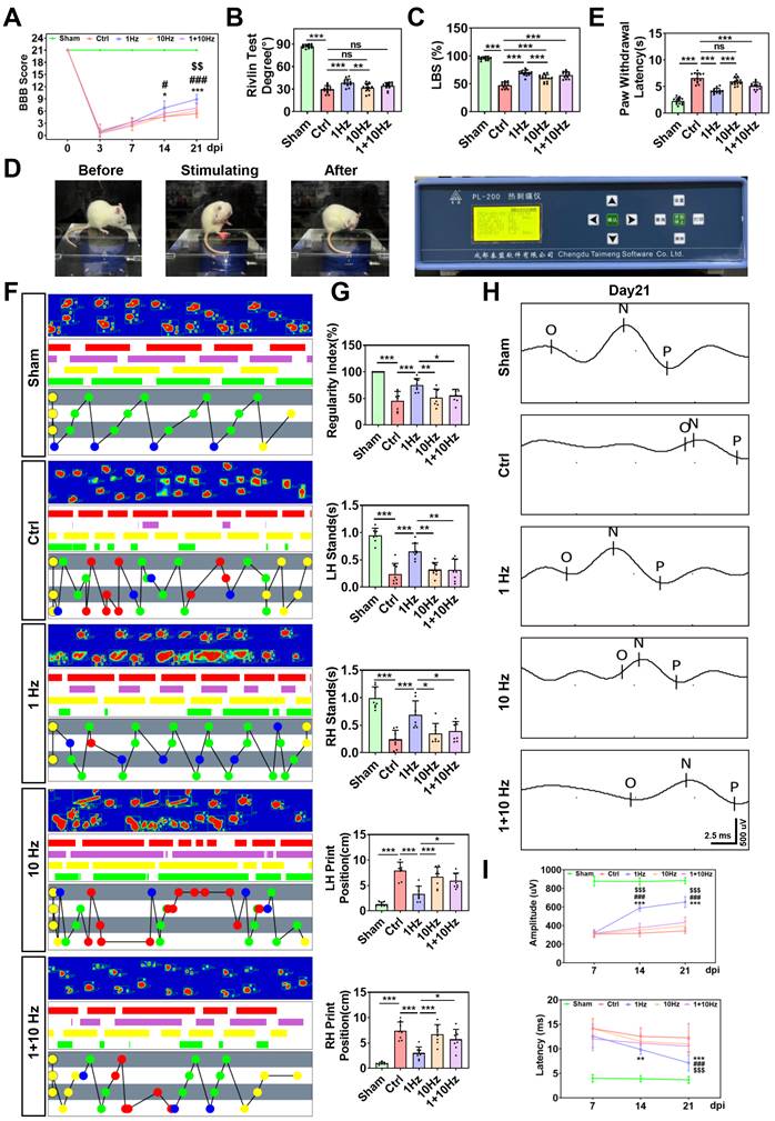 Int J Biol Sci Image
