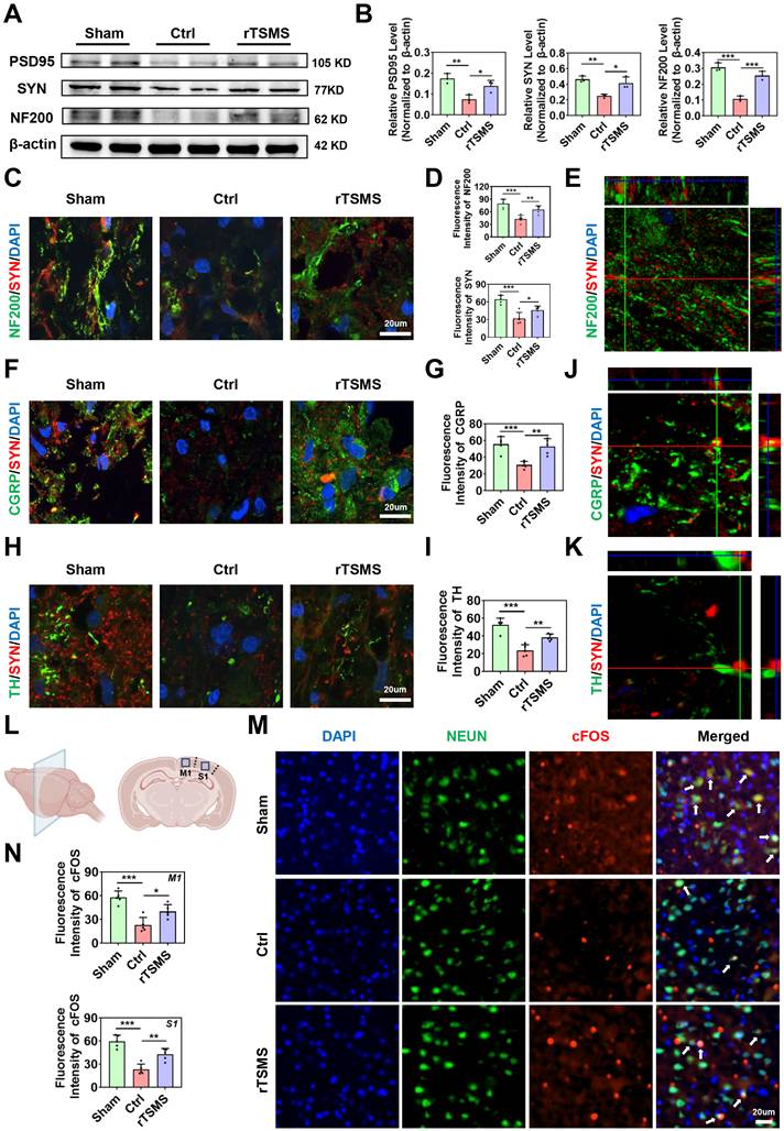 Int J Biol Sci Image