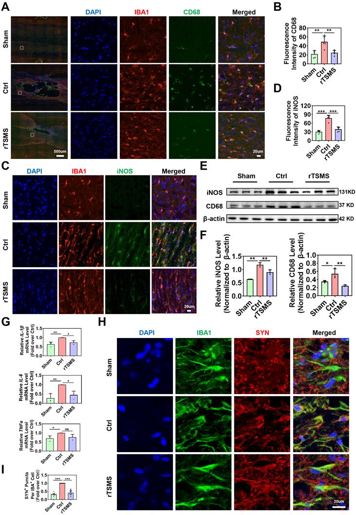 Int J Biol Sci Image