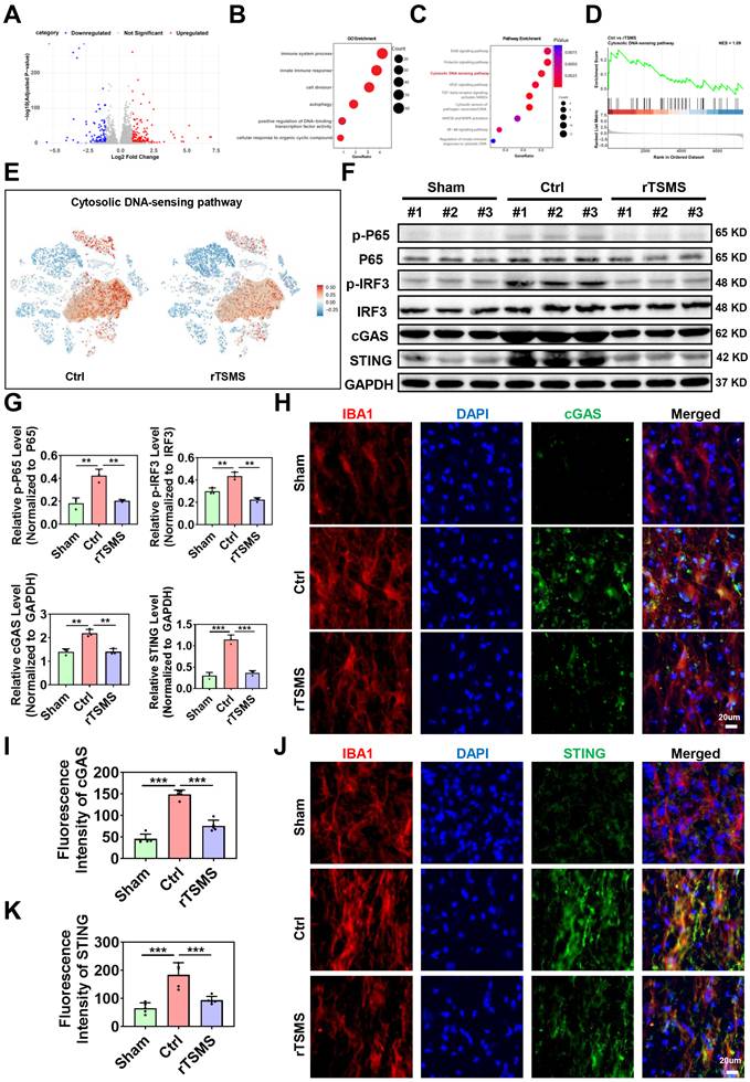 Int J Biol Sci Image
