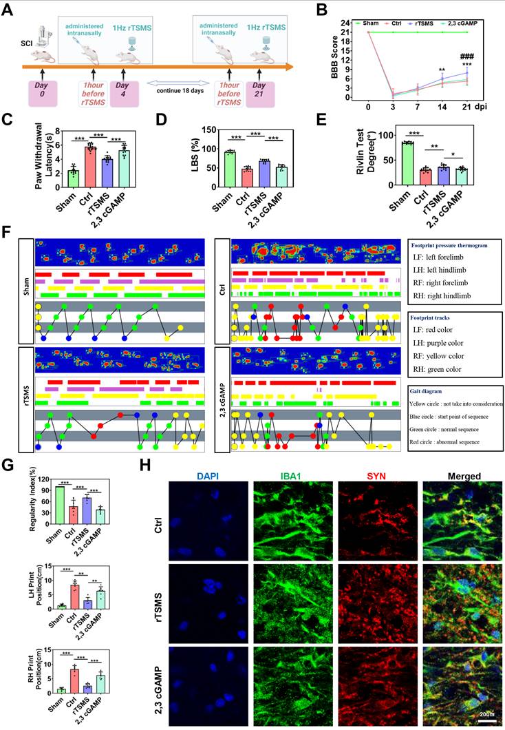 Int J Biol Sci Image